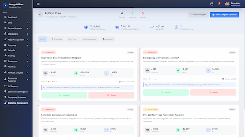 Action Plan with ROI Analysis